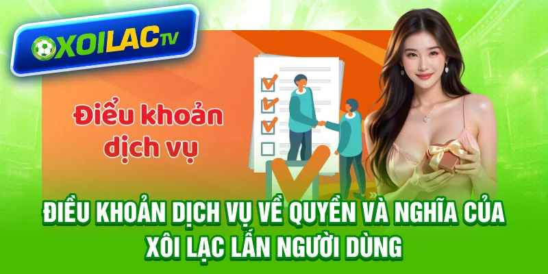 Điều khoản dịch vụ về quyền và nghĩa của Xôi Lạc lẫn người dùng