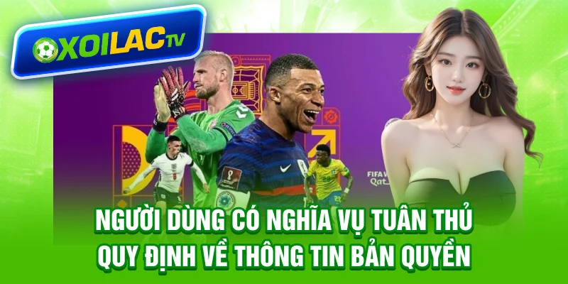 Người dùng có nghĩa vụ tuân thủ quy định về thông tin bản quyền